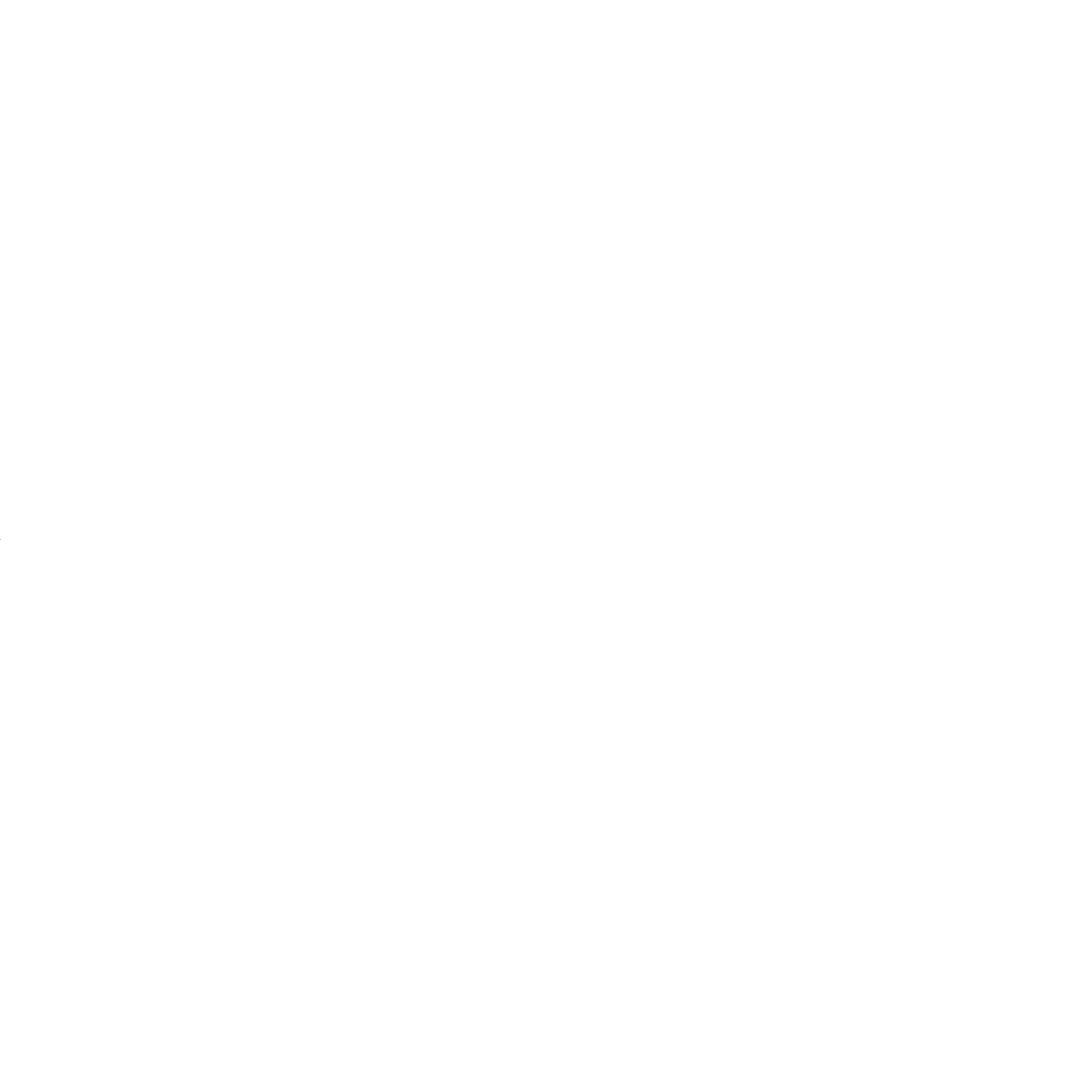 Ziyandile Investments Logo