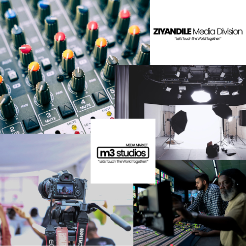 Media sector